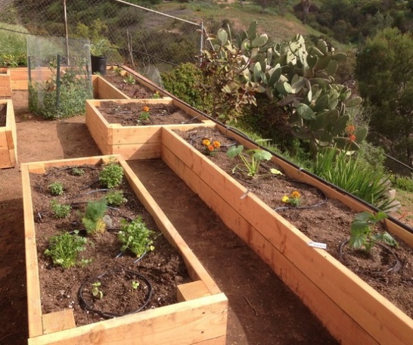 9 Ways to Be Water-Wise in the Edible Garden