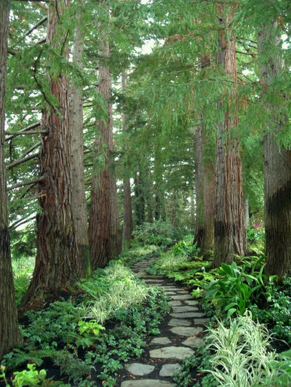 Find Yourself in an Epic Garden in the Shade