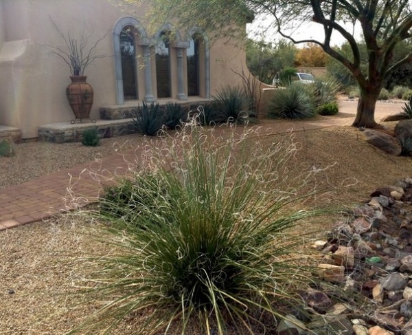 Landscape by Noelle Johnson Landscape Consulting