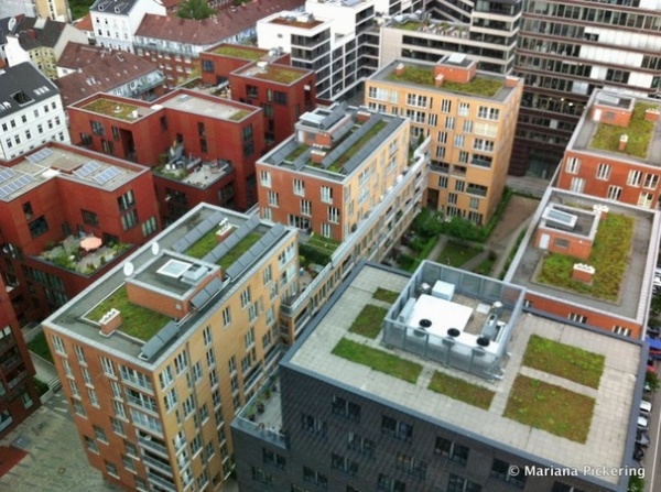 Building Green: How to Plan Your Site for Healthier Living