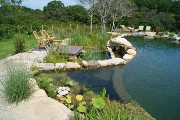 Secrets of a Successful Water Garden