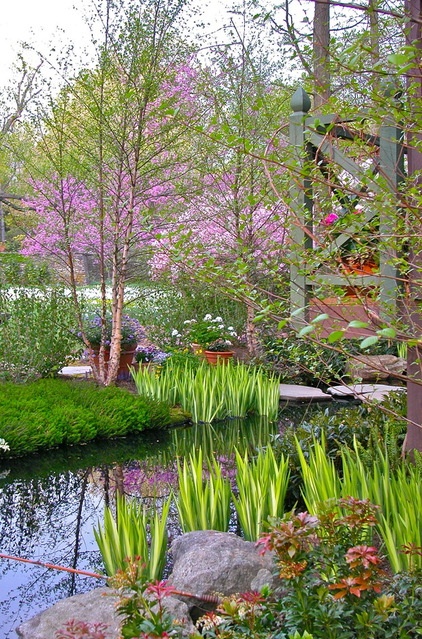 Secrets of a Successful Water Garden