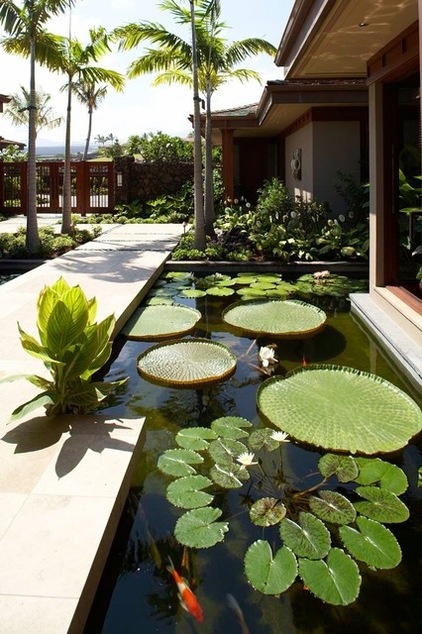 Tropical Landscape by GM Construction, Inc.