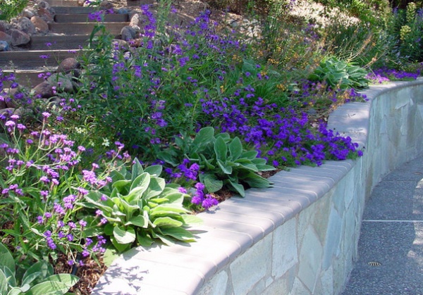 Landscape by Dig Your Garden Landscape Design