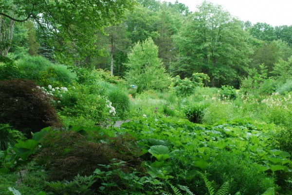 Landscape by Jay Sifford Garden Design