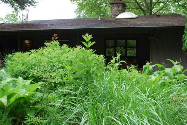 Landscape by Jay Sifford Garden Design