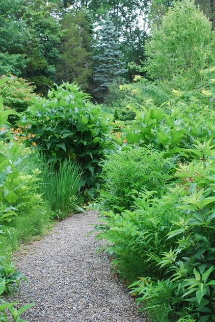 Landscape by Jay Sifford Garden Design