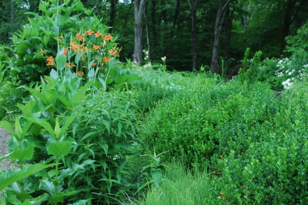 Landscape by Jay Sifford Garden Design