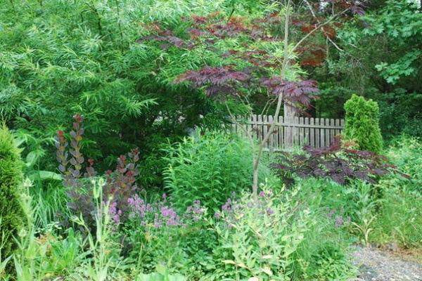 Landscape by Jay Sifford Garden Design