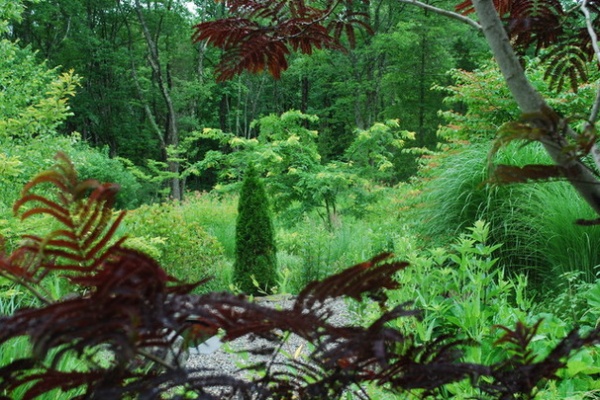 Landscape by Jay Sifford Garden Design