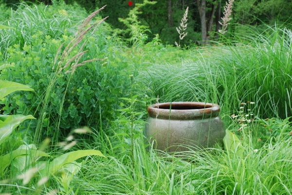 Landscape by Jay Sifford Garden Design