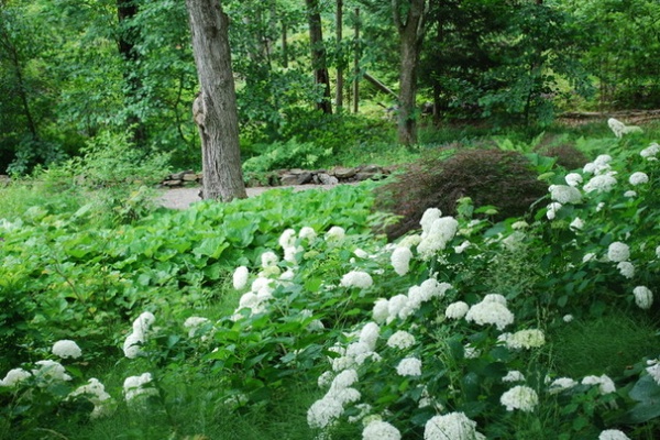 Landscape by Jay Sifford Garden Design