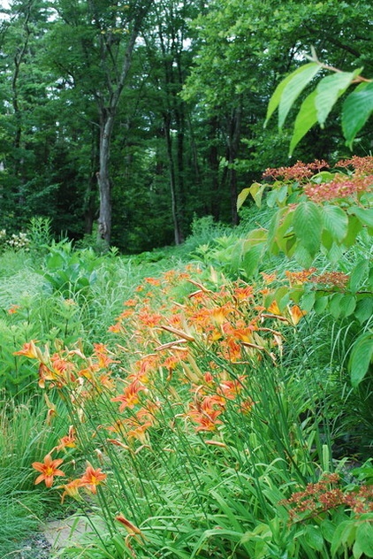 Landscape by Jay Sifford Garden Design