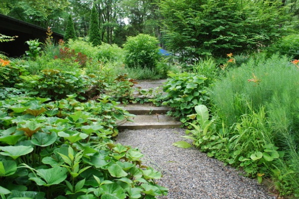 Landscape by Jay Sifford Garden Design