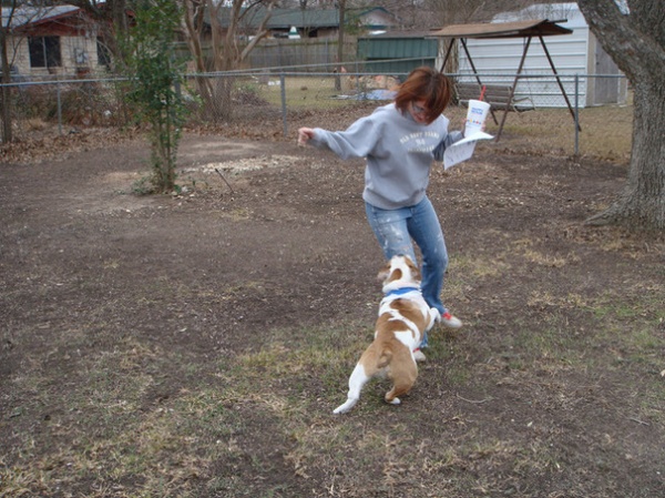 A Formerly Weedy Lot Now Brims With Edibles and Honeybees