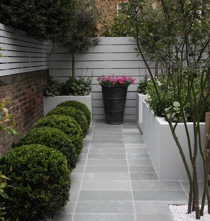 Contemporary Patio by Ruth Willmott Associates