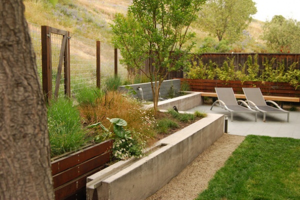 Modern Landscape by Envision Landscape Studio