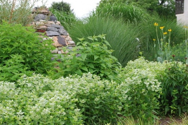 Farmhouse Landscape by Jay Sifford Garden Design