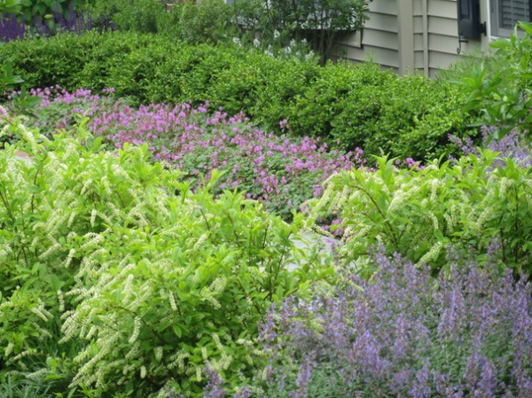 5 Ways to Use Pastel Plantings in Contemporary Gardens