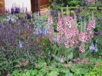 5 Ways to Use Pastel Plantings in Contemporary Gardens