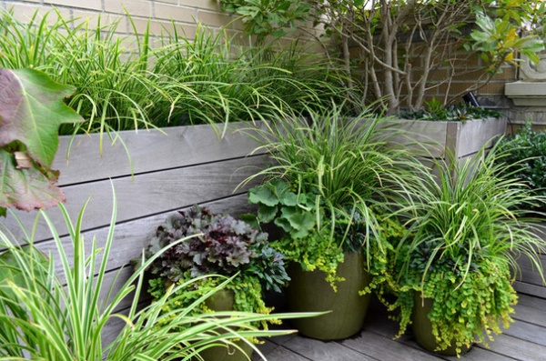 Traditional Porch by Jeffrey Erb Landscape Design