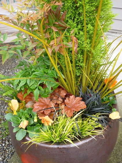 Create High-Impact Container Gardens With Grasses