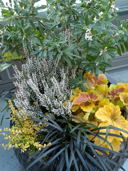 Create High-Impact Container Gardens With Grasses