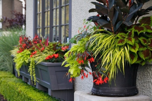 Traditional Landscape by Pot Incorporated