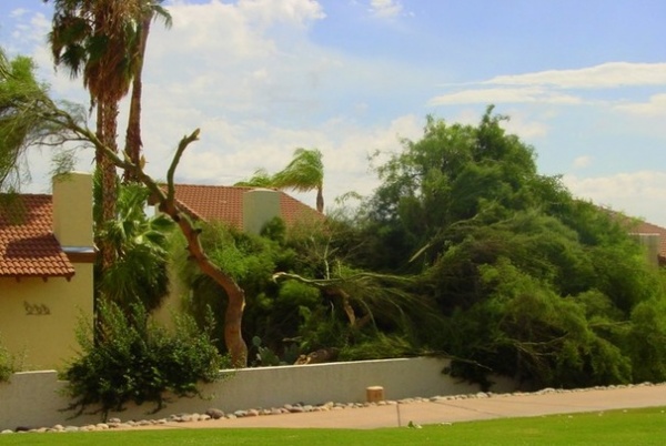 How to Get Your Landscape Ready for Summer Storms