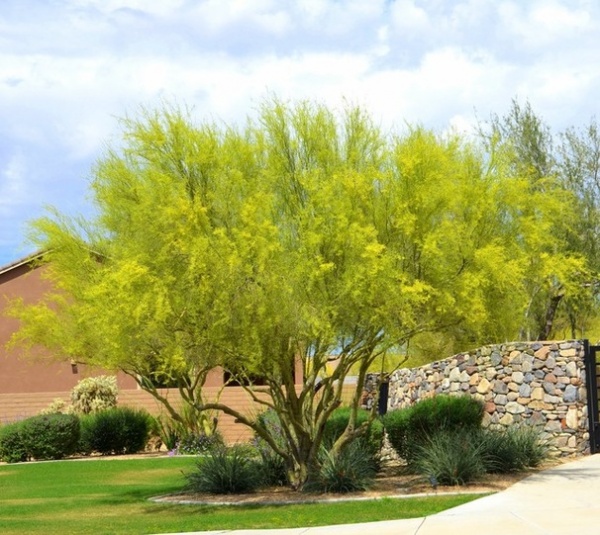 How to Get Your Landscape Ready for Summer Storms