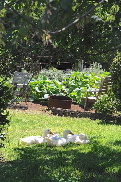 Houzz Call: Home Farmers, Show Us Your Edible Gardens