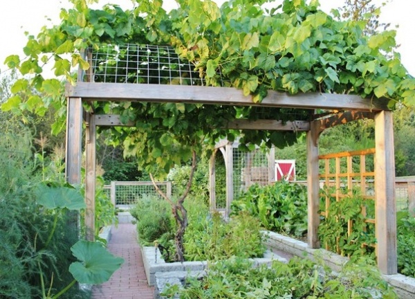 Houzz Call: Home Farmers, Show Us Your Edible Gardens