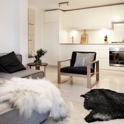 My Houzz: A Minimalist Home Finds Beauty in Simplicity