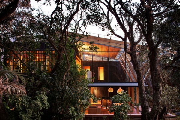 Houzz Tour: Native Trees Are Part of This Home’s Design