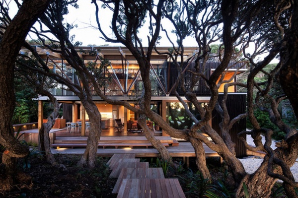 Houzz Tour: Native Trees Are Part of This Home’s Design