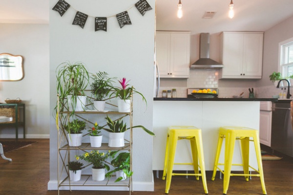 Happy Houseplants, Happy People