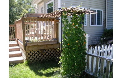 Beautiful Flowers and Foliage From Dedicated Backyard Gardeners