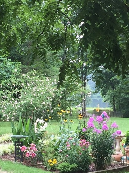 Beautiful Flowers and Foliage From Dedicated Backyard Gardeners