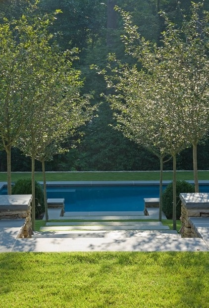 Traditional Pool by Golightly Landscape Architecture