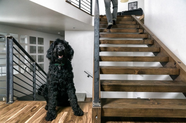 Modern Staircase by Zola Windows