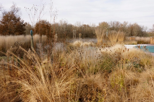 Contemporary Landscape by Adam Woodruff + Associates, Garden Artisans