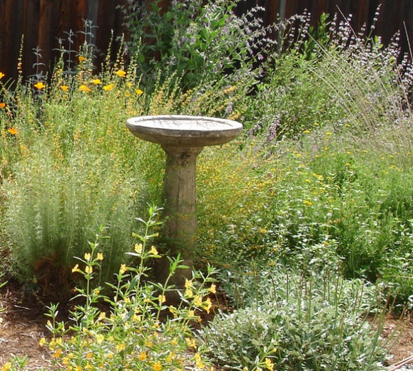 5 Ways to Keep Your Native Plant Garden Looking Good All Year