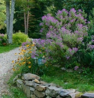 5 Ways to Keep Your Native Plant Garden Looking Good All Year