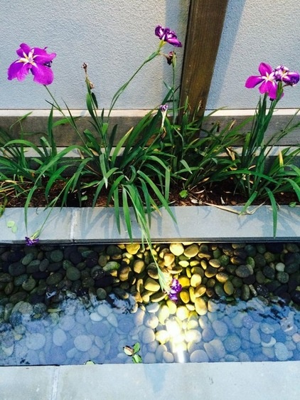 Patio Details: Dog Won’t Trample the Plants With This Design