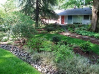 How to Shape a Rain Garden and Create the Right Soil for It