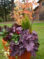 5 Container Gardens for Fall, the Holidays and Beyond